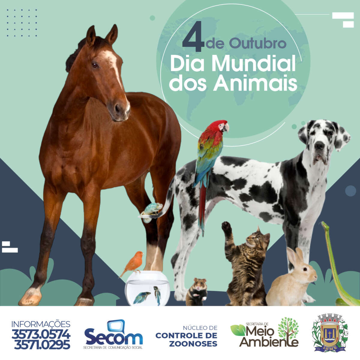 De Outubro Dia Mundial Dos Animais