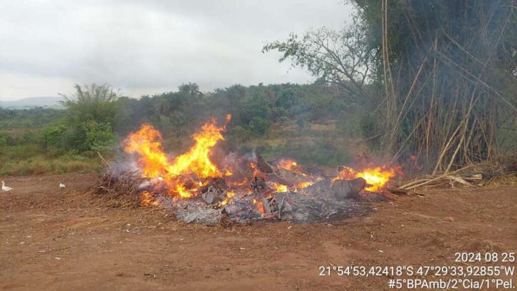 Policialmente embarga área e aplica multa por crime ambiental